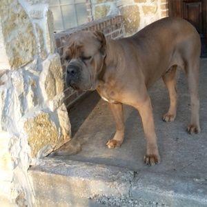 Meet your Posher, Juana